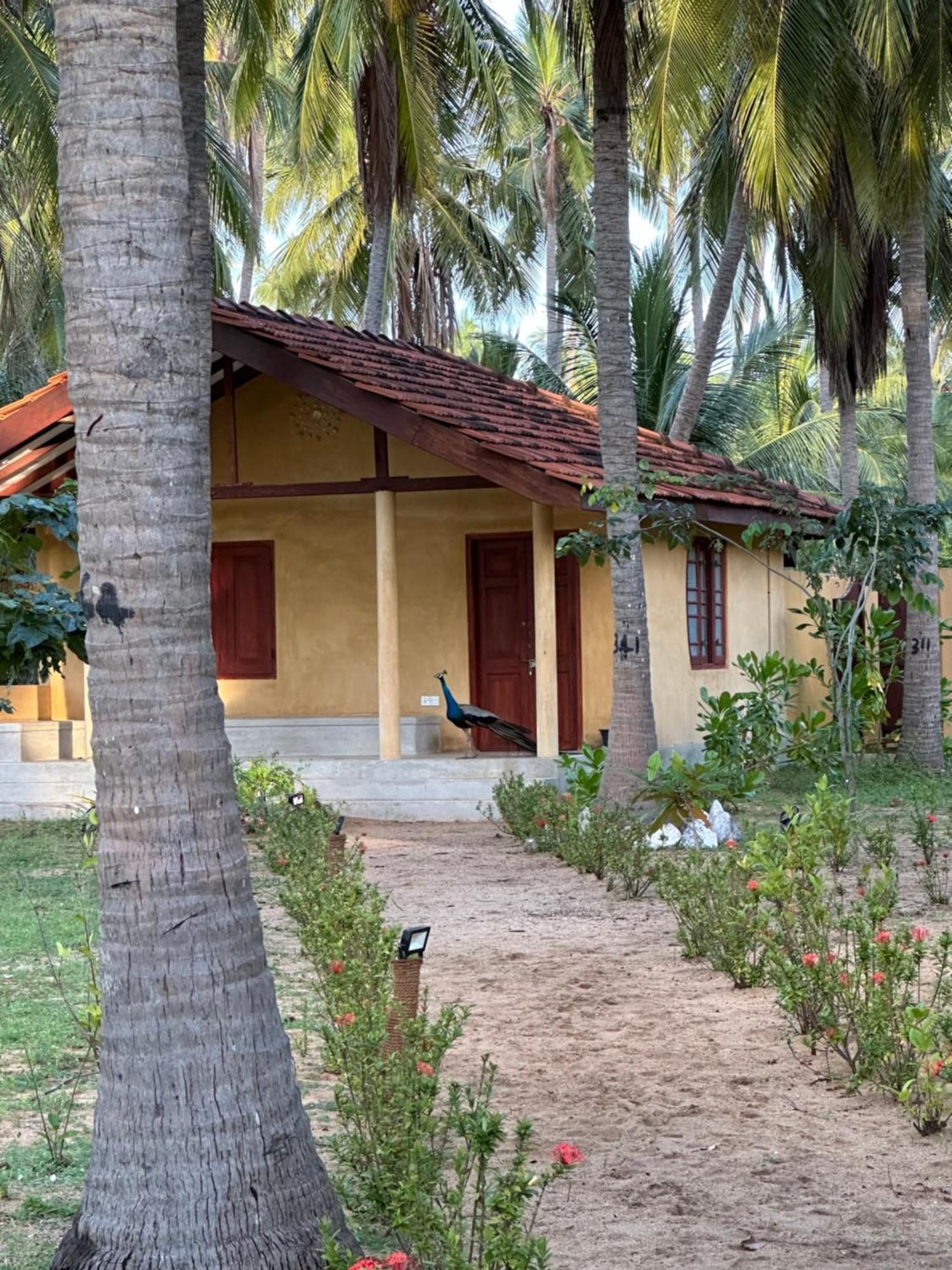 Kitelantis Hotel And Resort 卡尔皮蒂耶 外观 照片